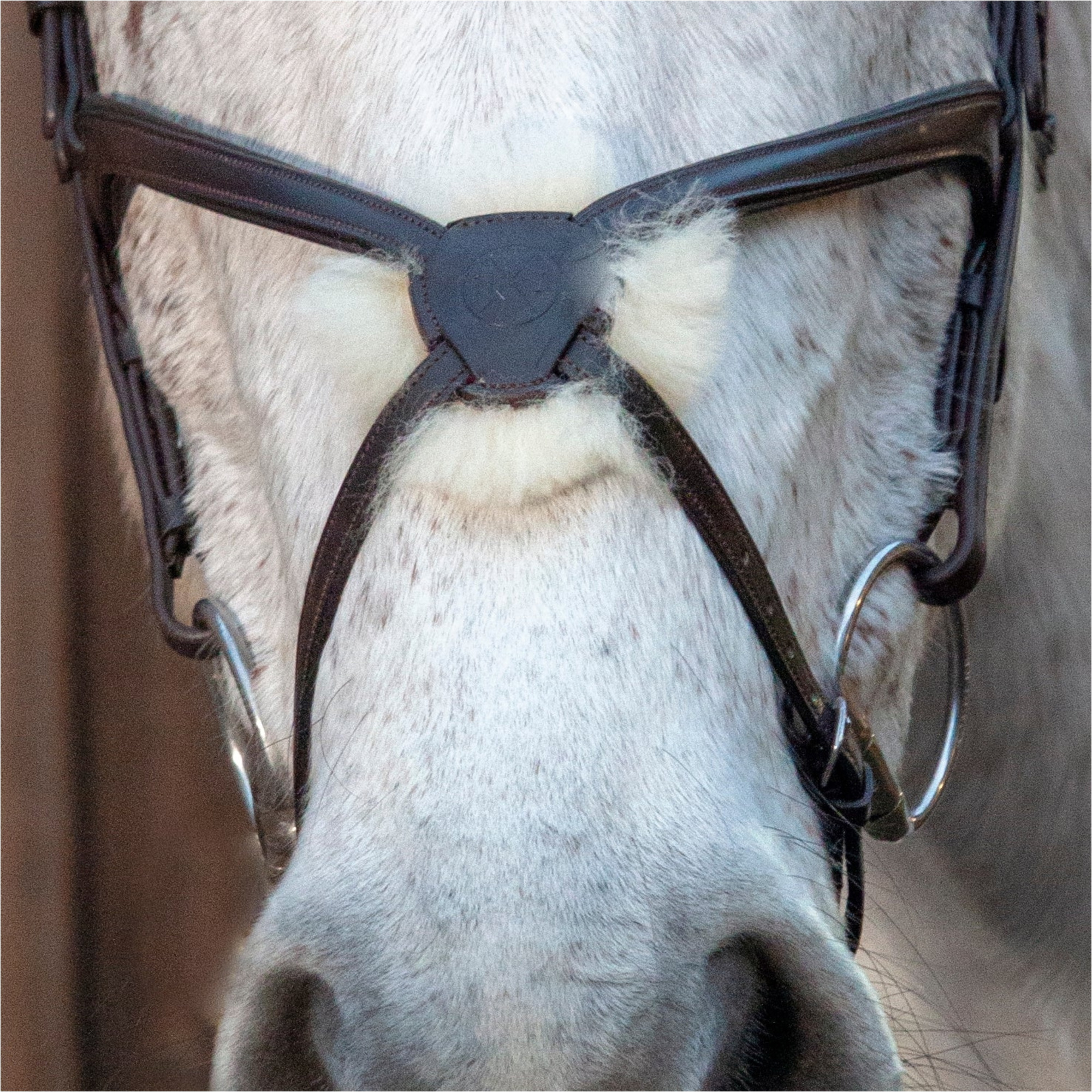 Henry James Figure 8 Sheepskin Grackle Noseband NB4-HJSHEEP - Brown